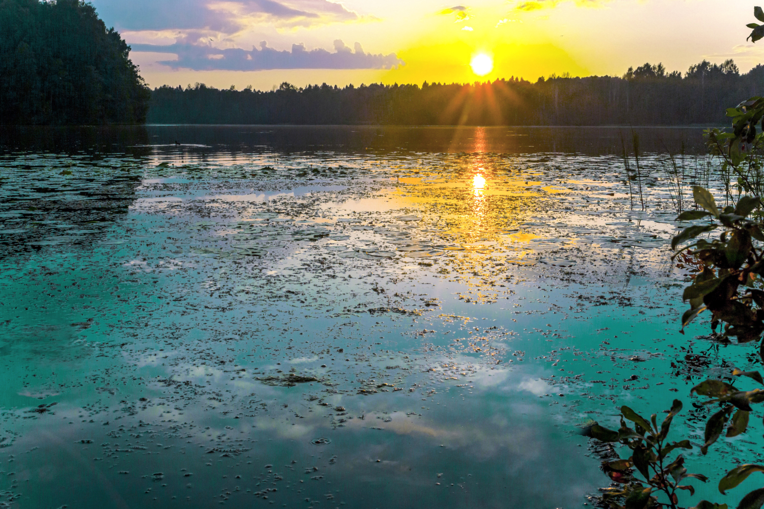 Вечер у озера