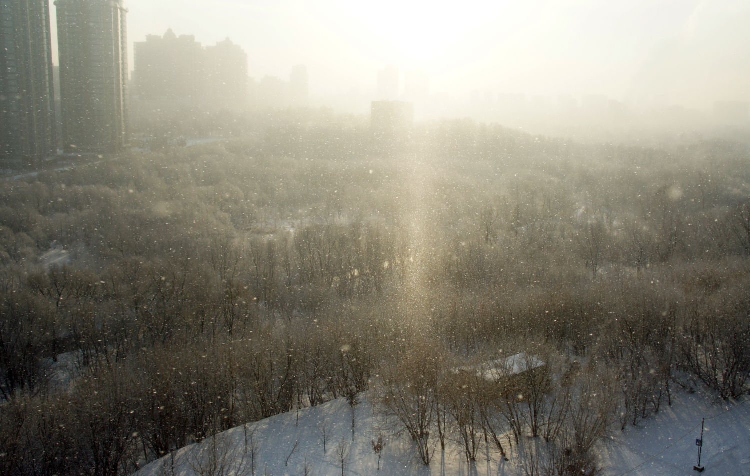 Морозный денёк