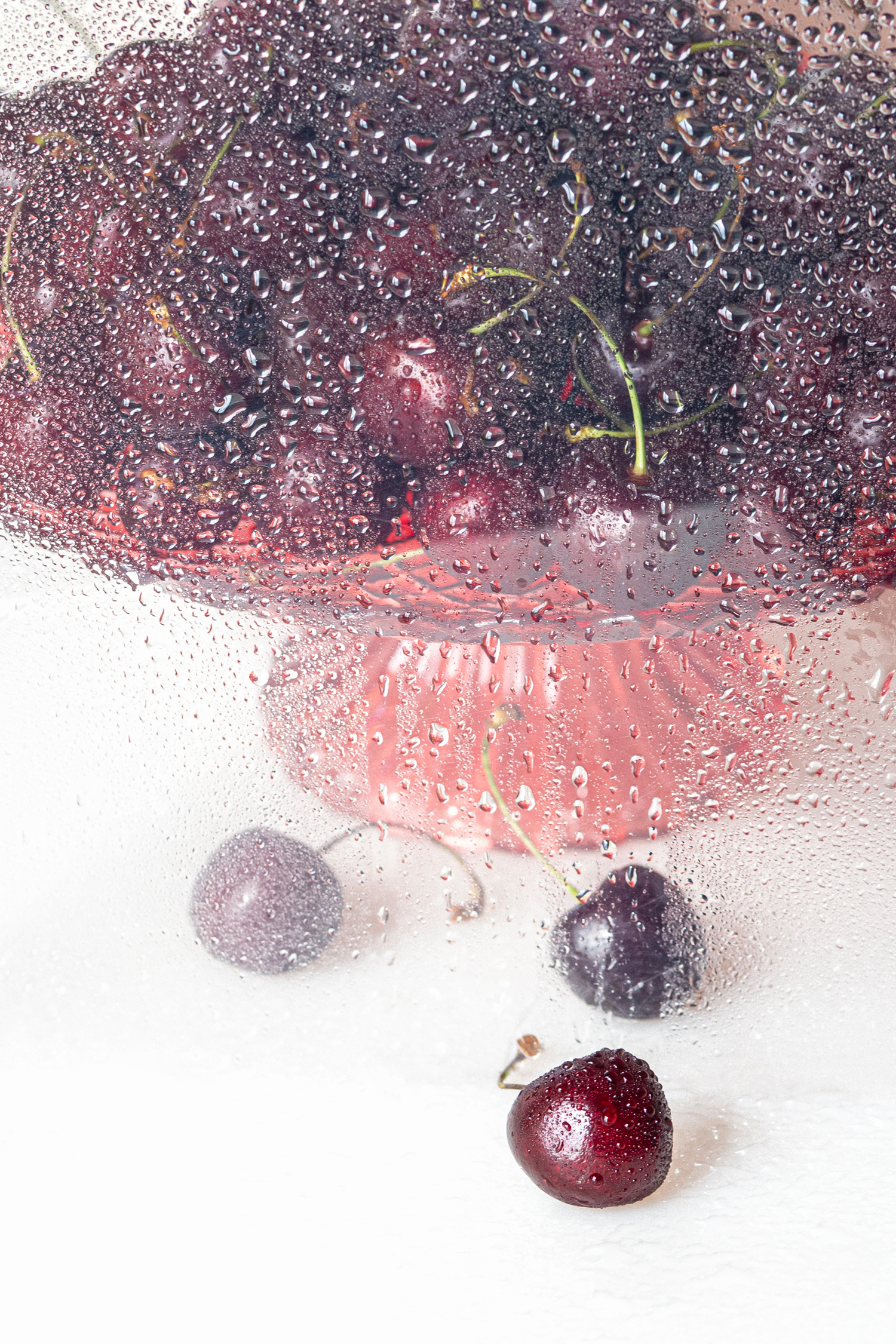 Любимая ягода