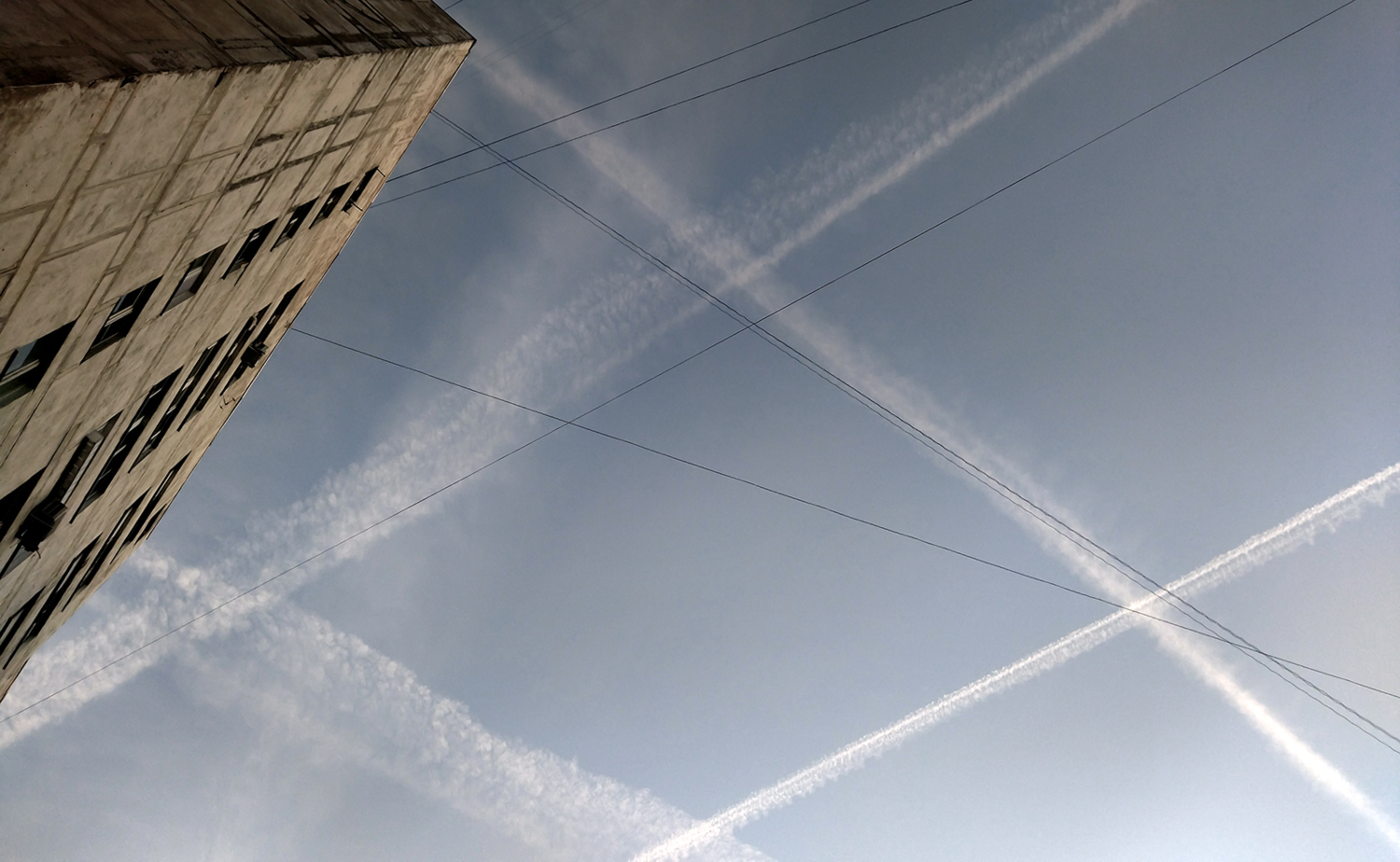 Соревнование клеток