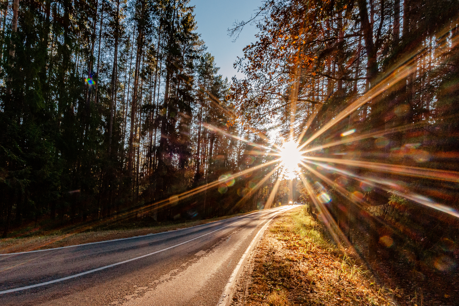 Дорога к солнцу