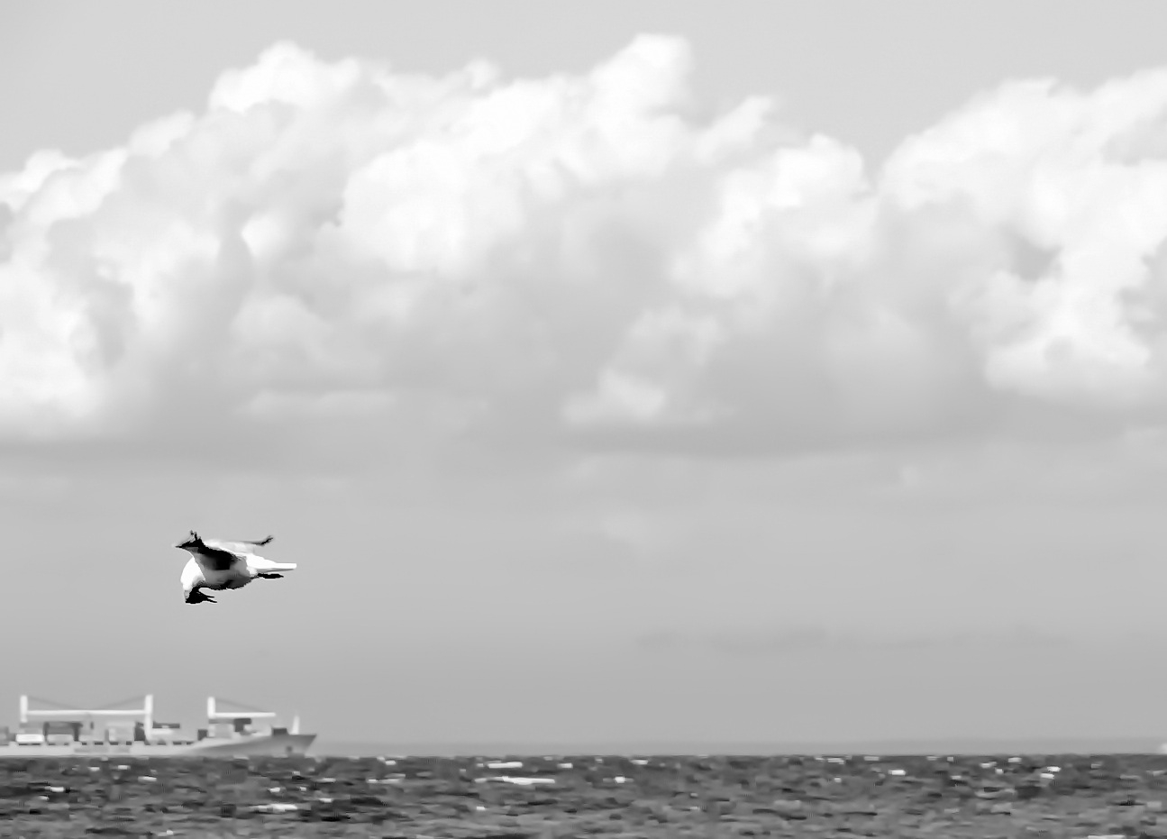 А где все, я один?