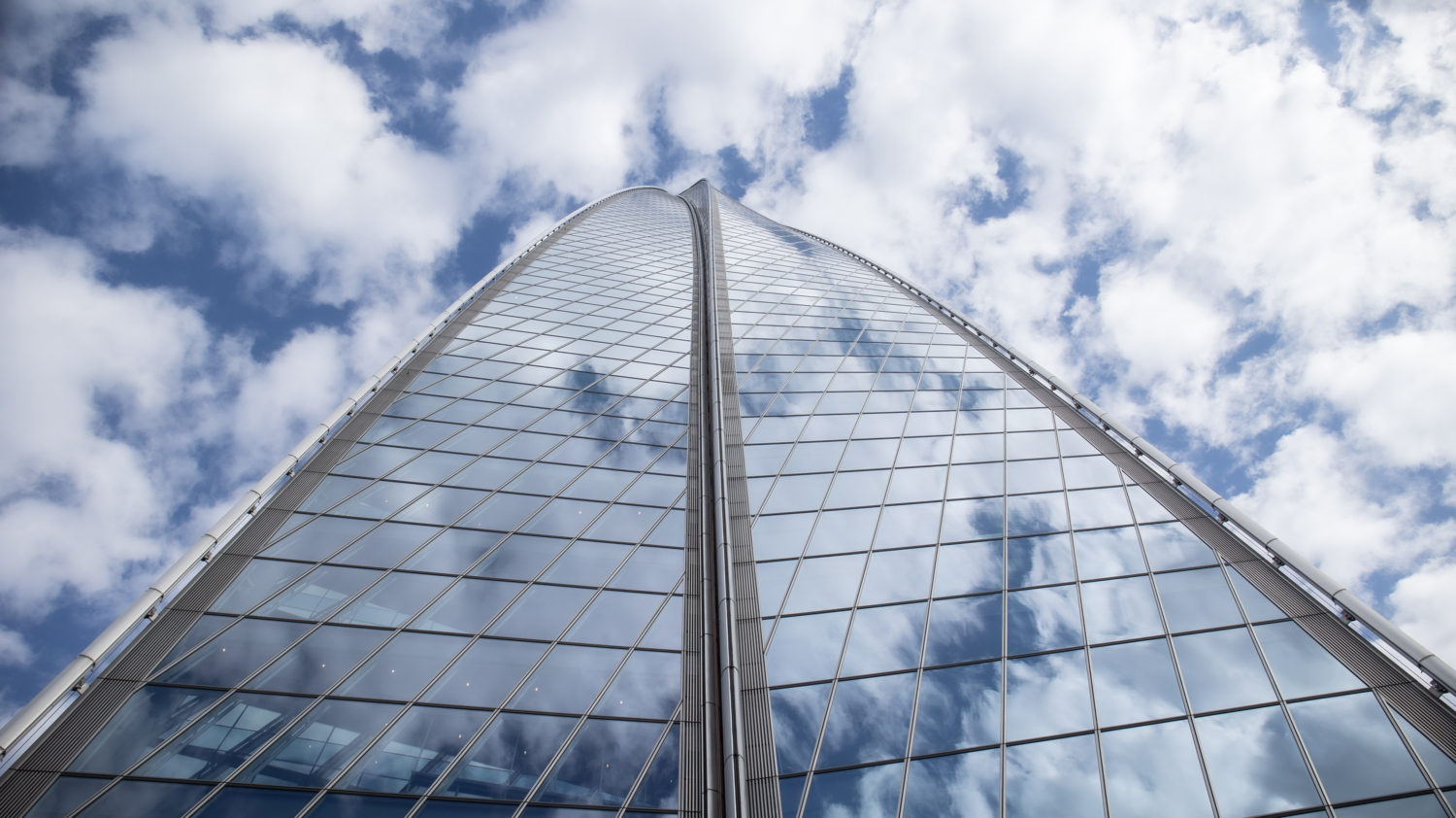 Клетка для неба