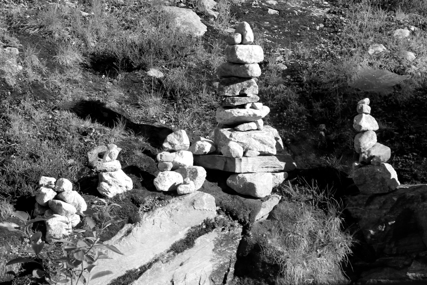 Каменные тролли желаний