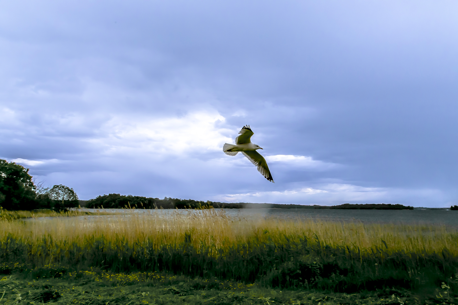 Пора сенокосная