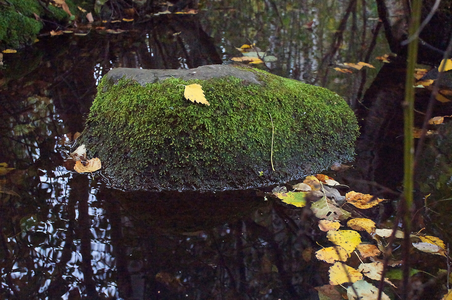 Затерянный в пространстве