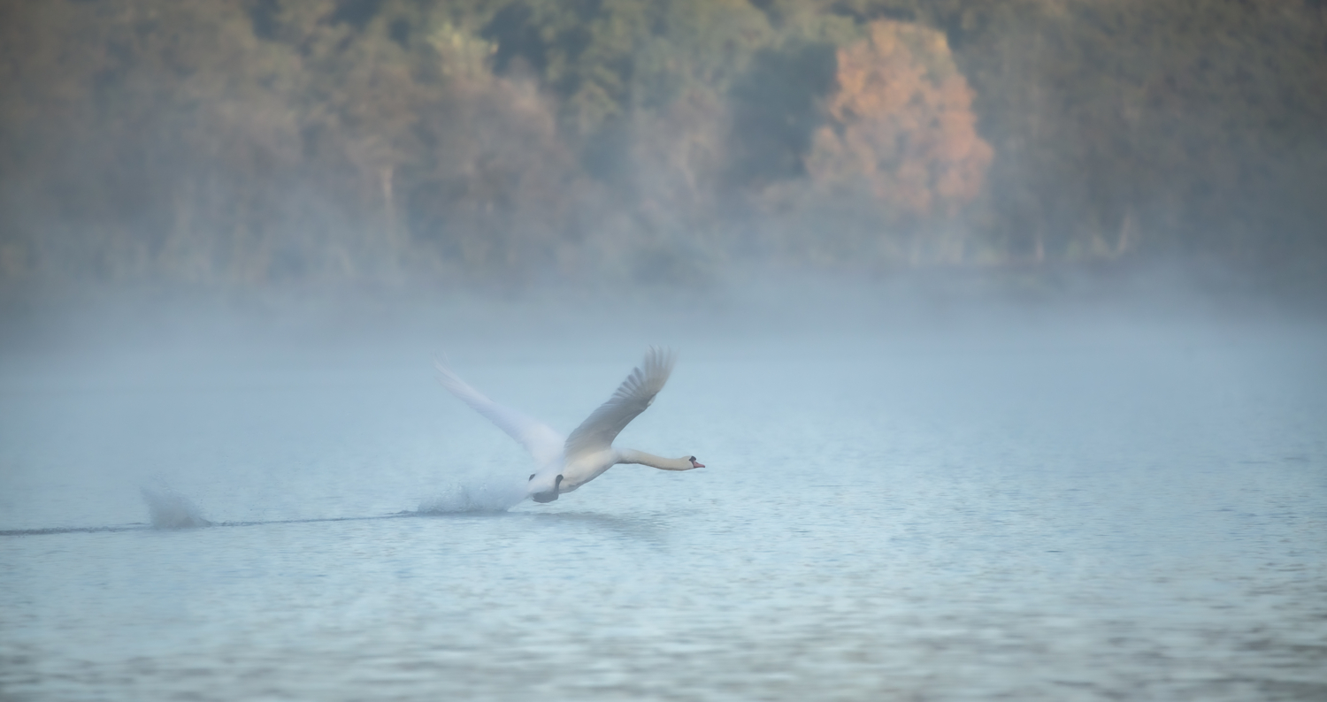 Форсаж на взлёте...