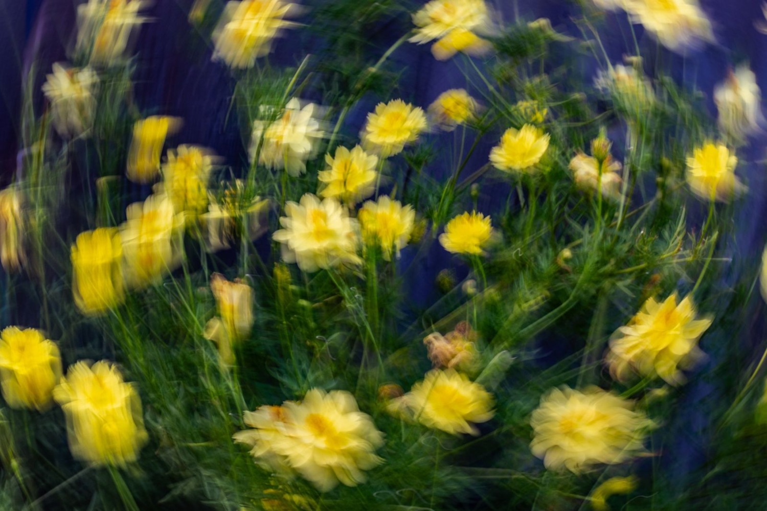 Летняя карусель