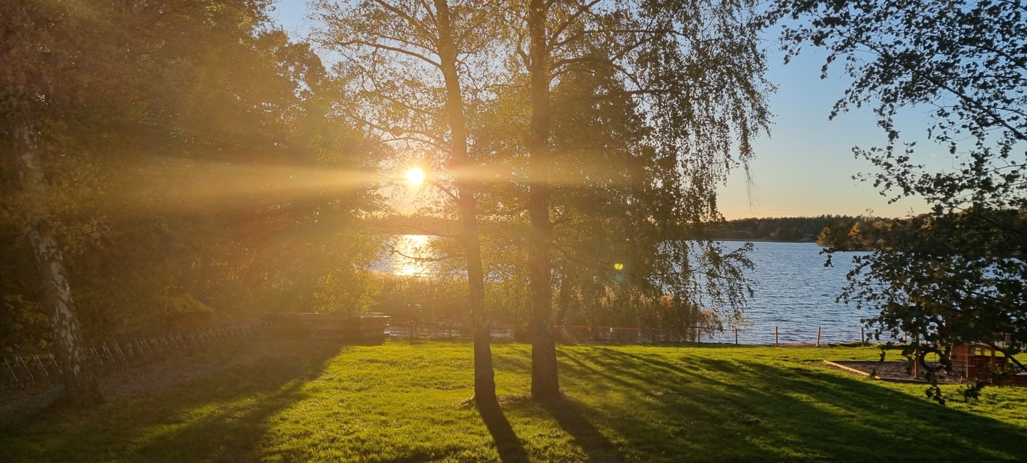 Утро на пляже