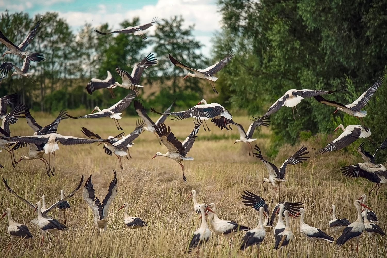 Взлёт демографии