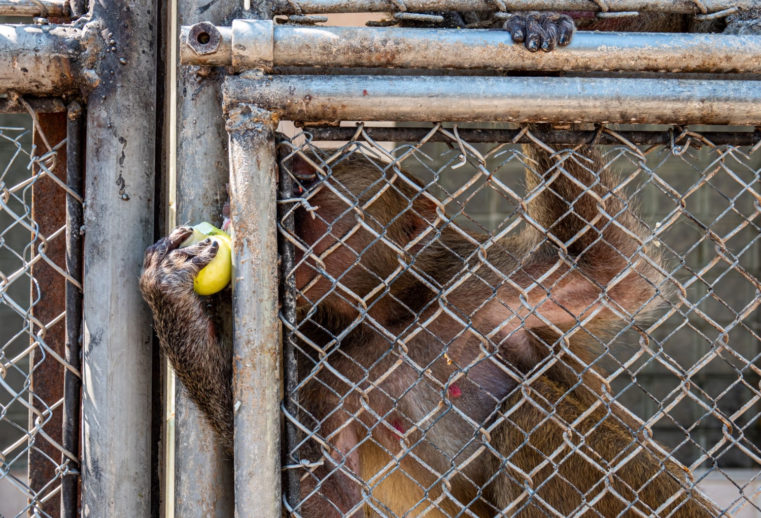 Мне нельзя на волю...