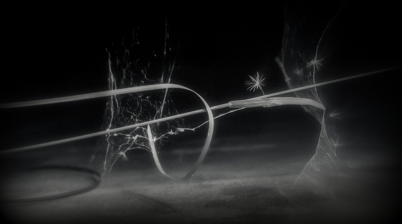 Травинка завилась в кольцо.  Свадьба завтра..