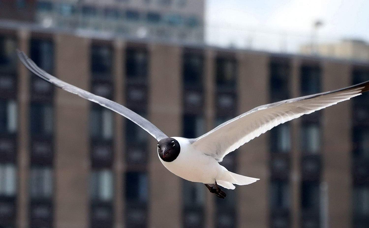 Глаза в глаза