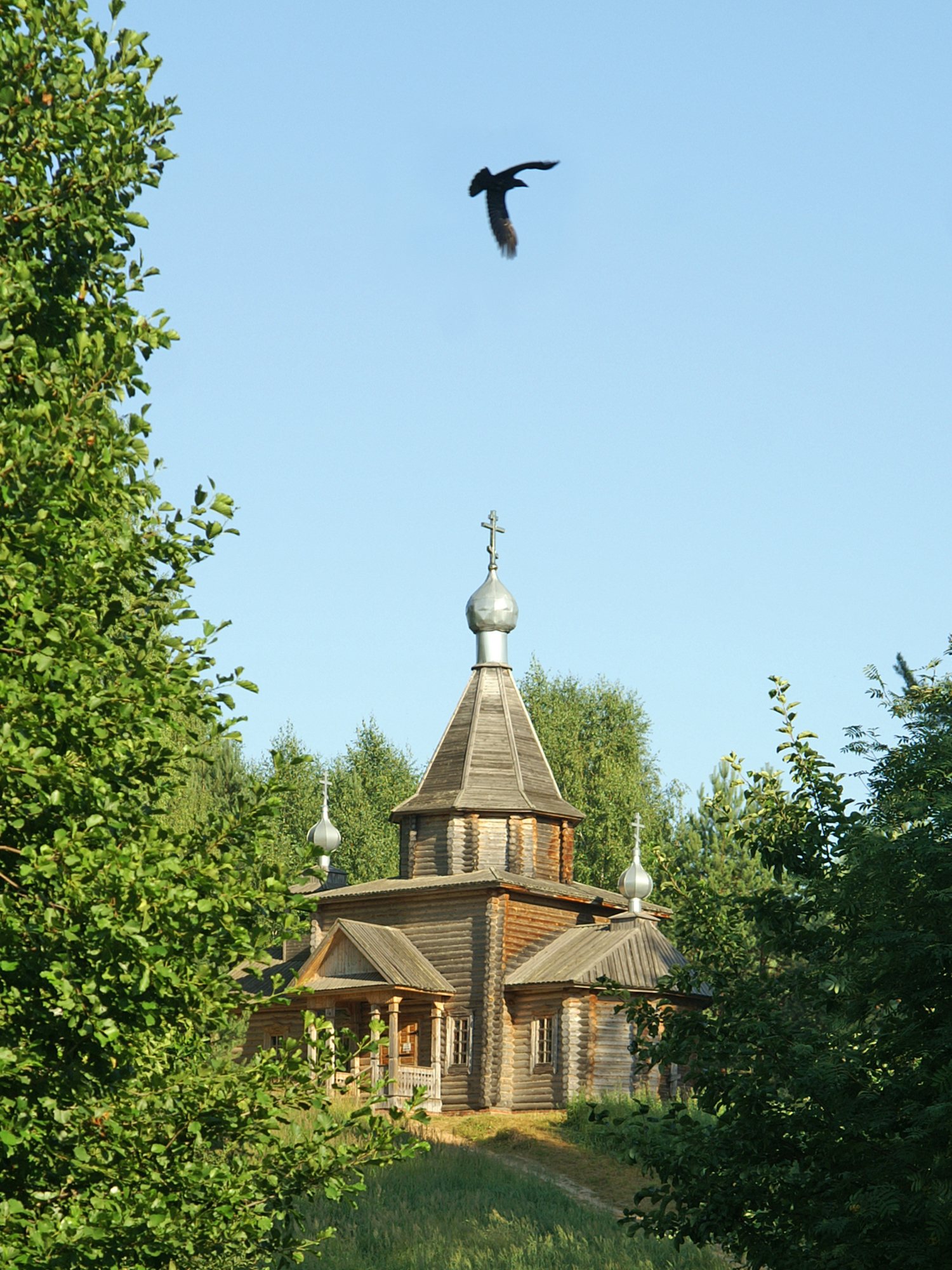 Что ты кружишь?