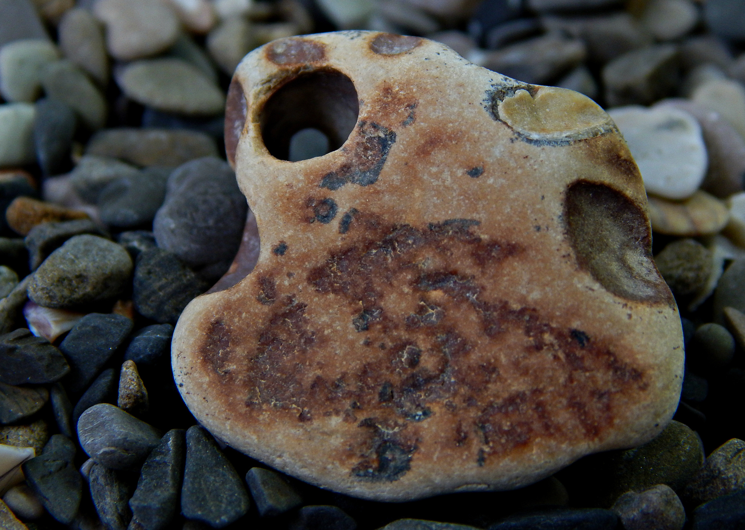 Приносящий удачу