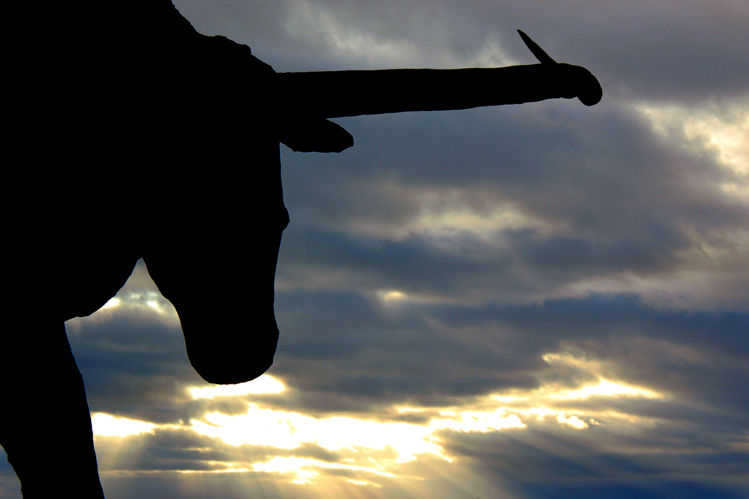 В лучах заката