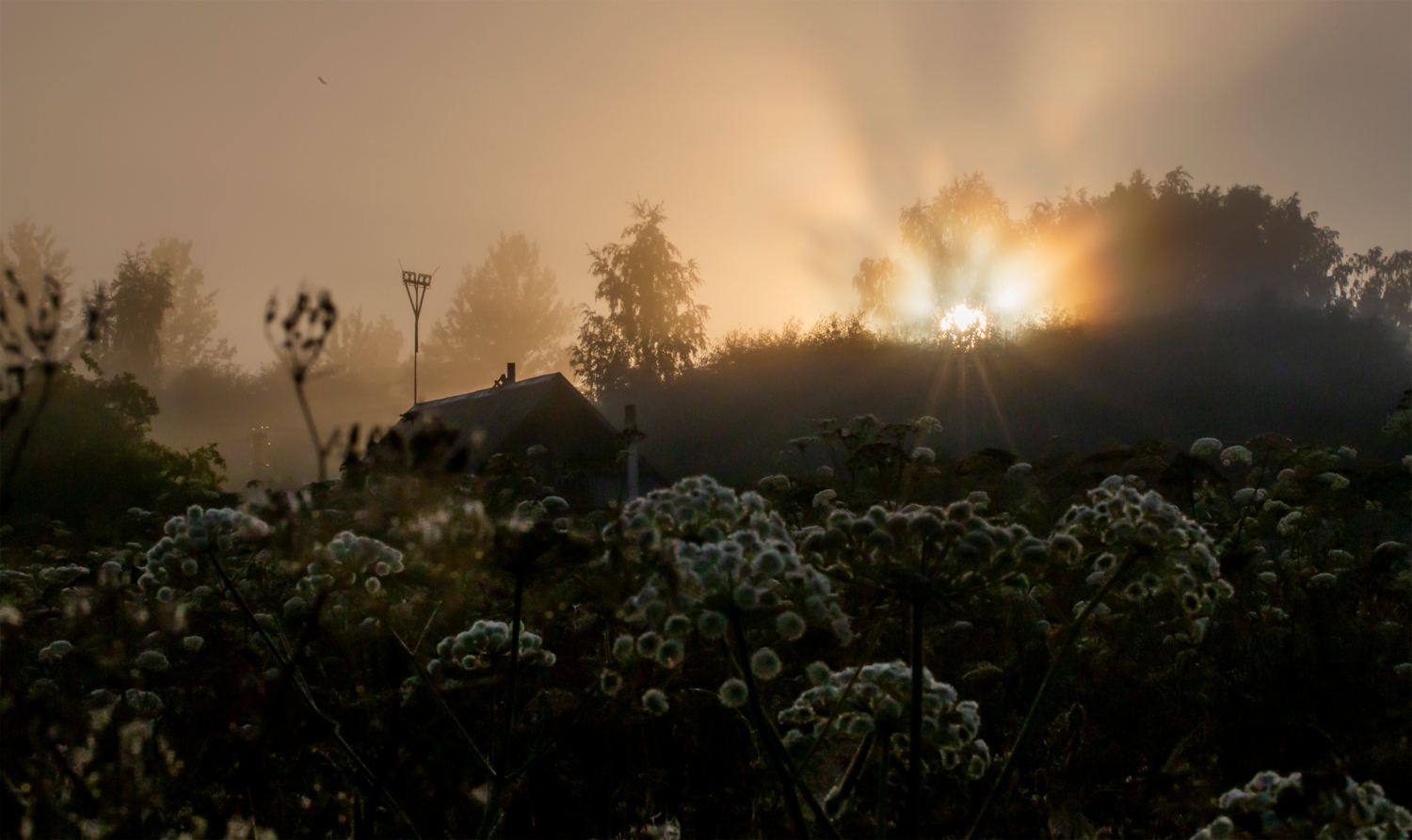Жаль, соловьёв не слышите...