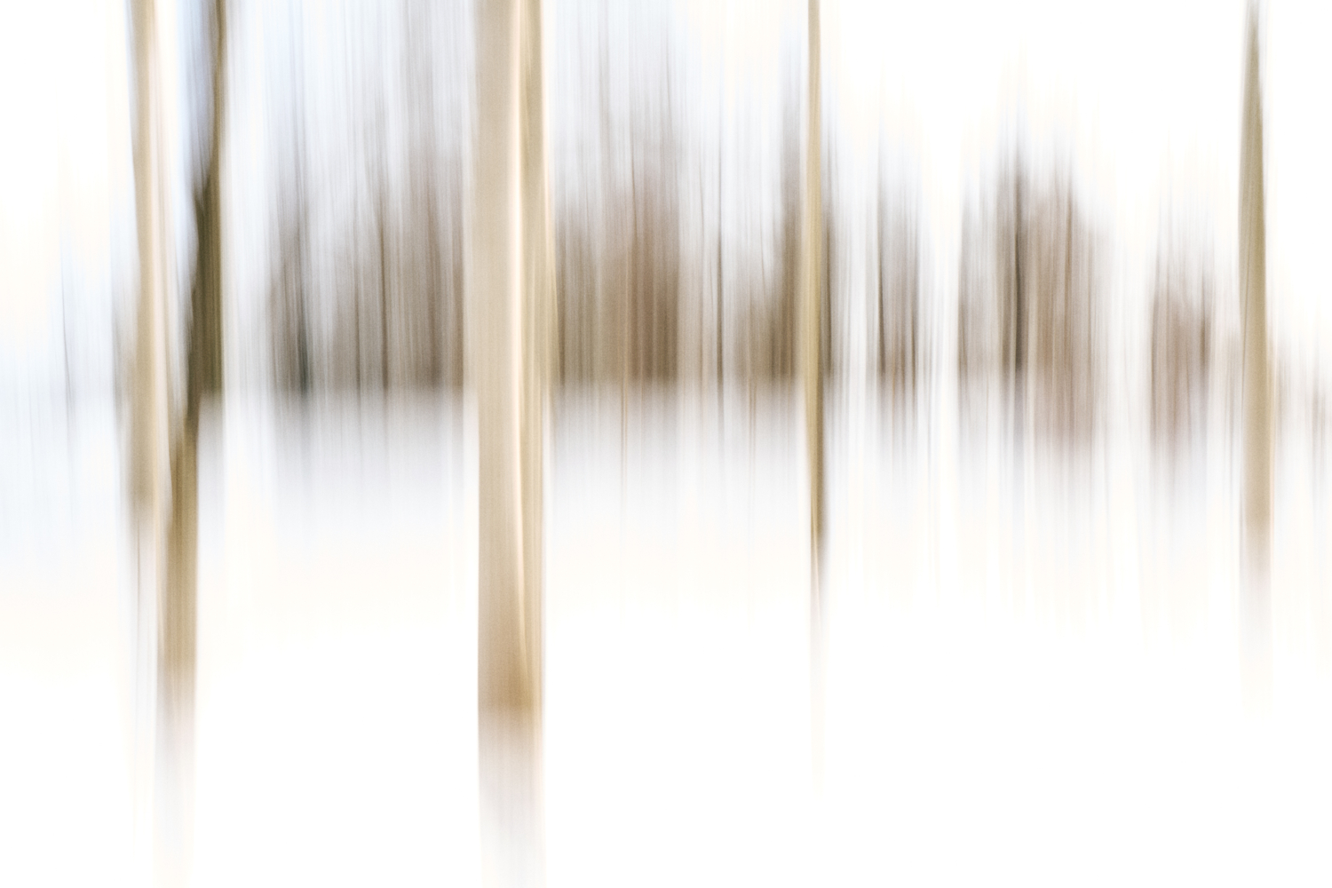 Белое половодье