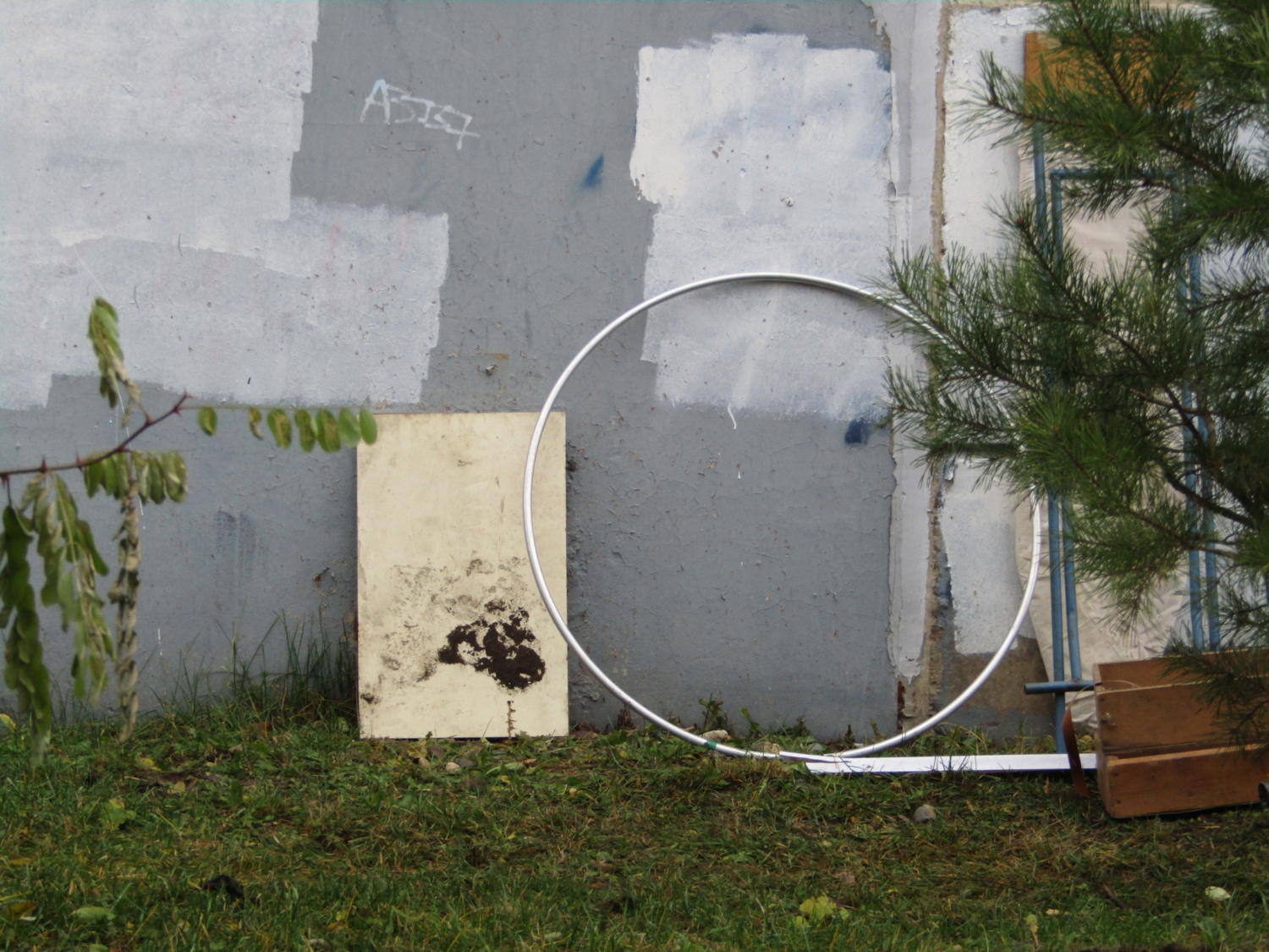 Абстракция с кольцом