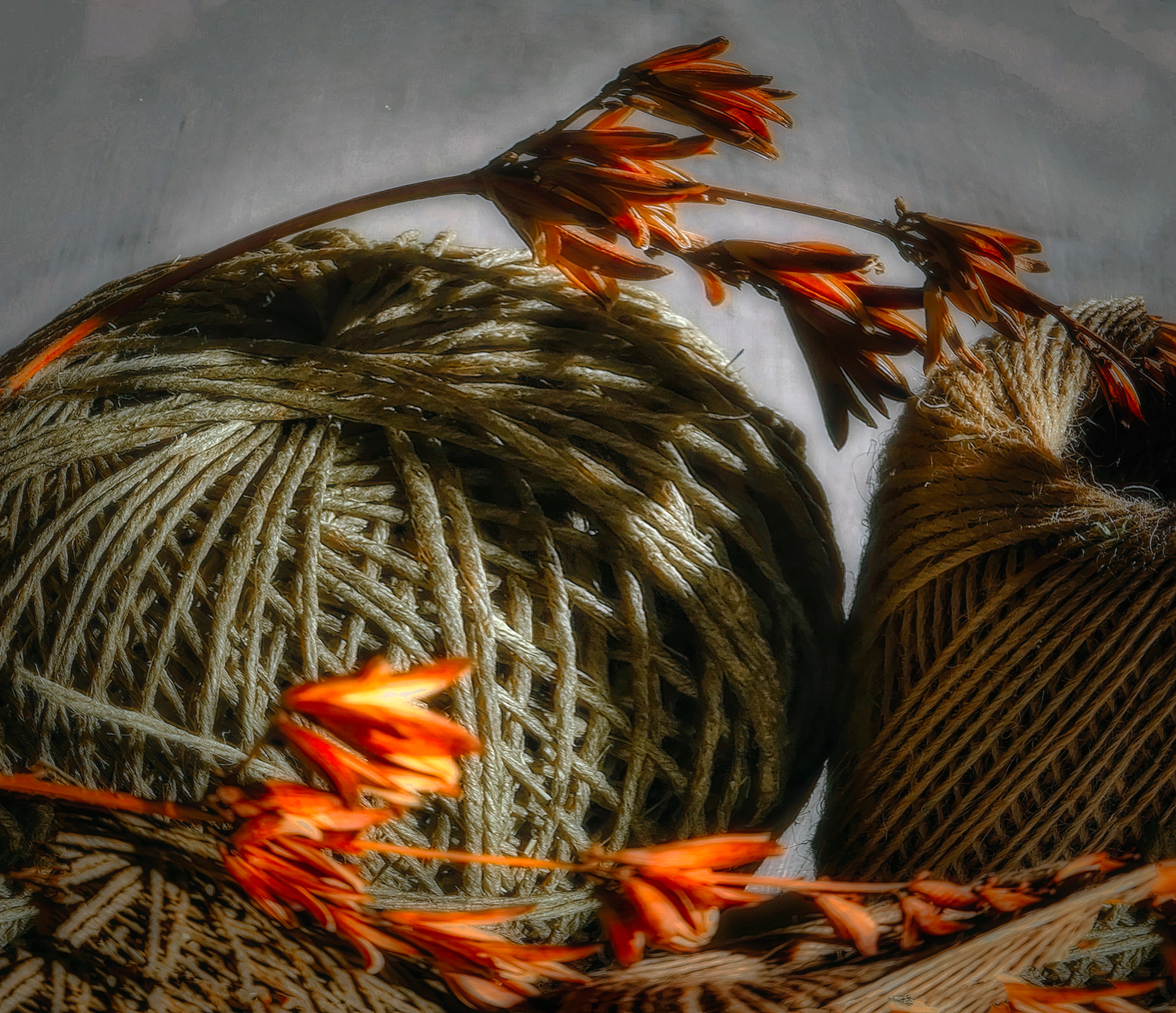 Клубки и ветки.