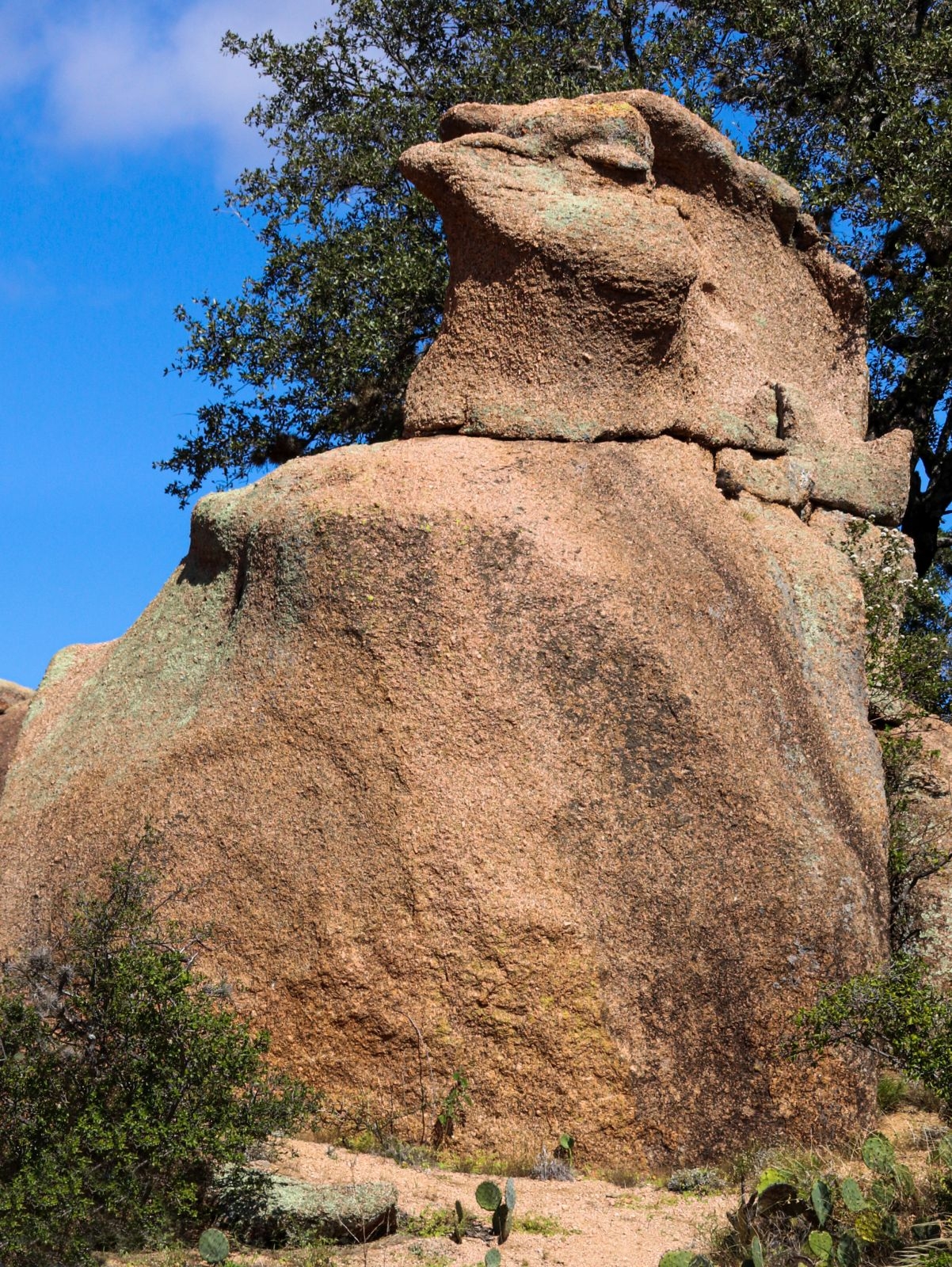 Индюшка спит