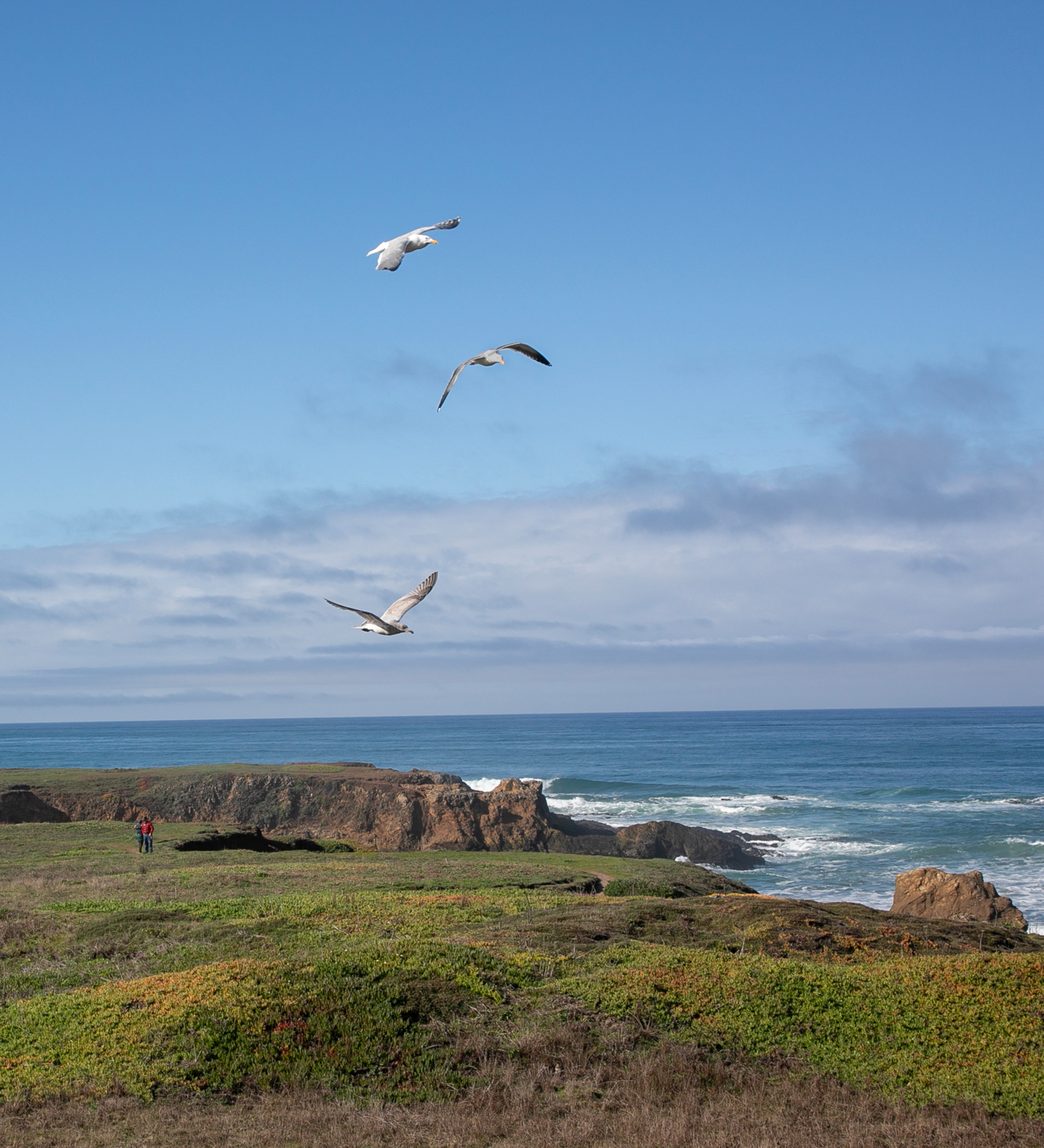 Над берегом океана