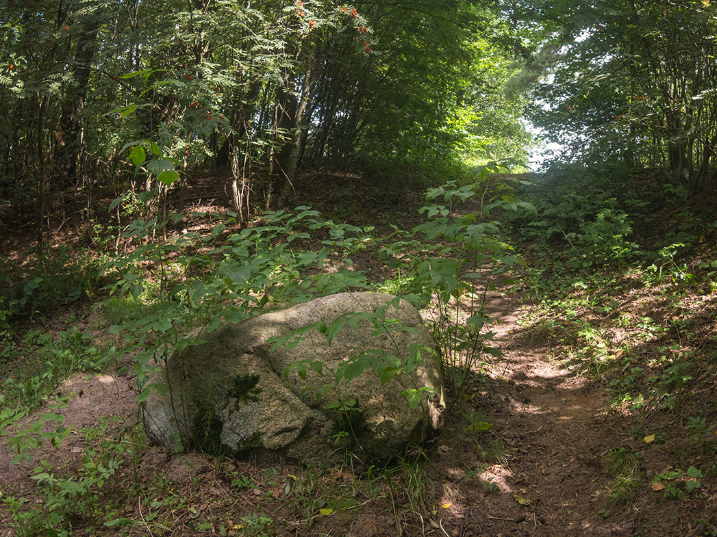 Не будите спящую собаку