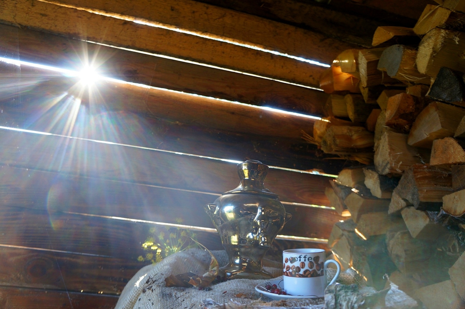 В гостях у ...