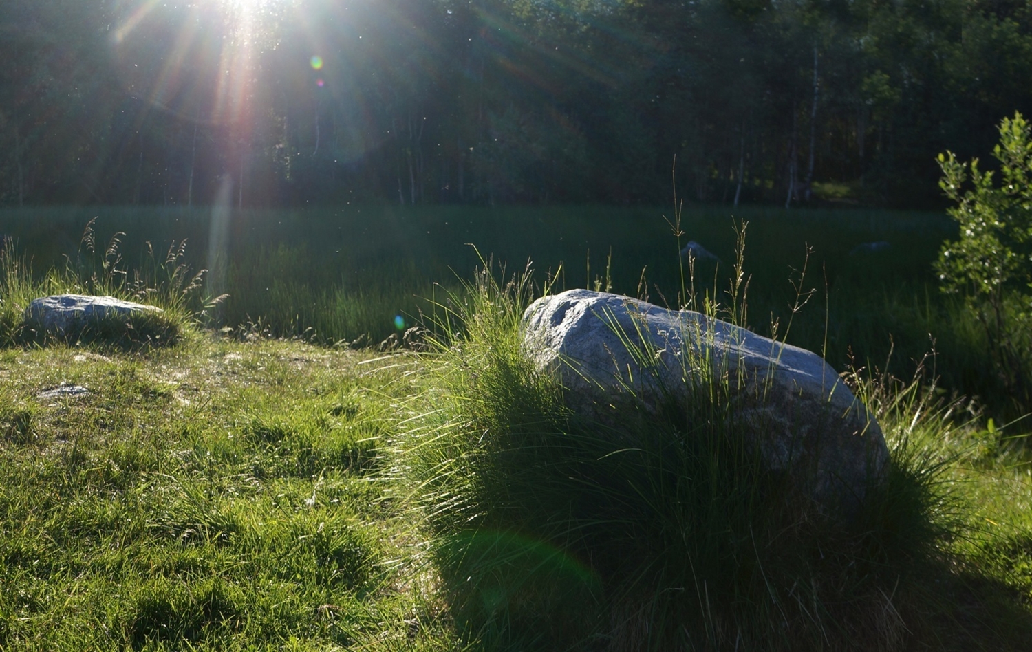 Не трус, но спрятался