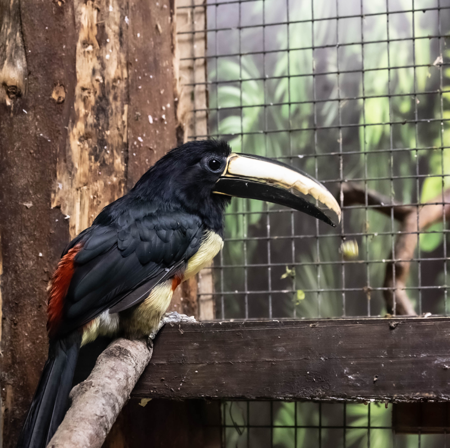 Вот такая жизнь..