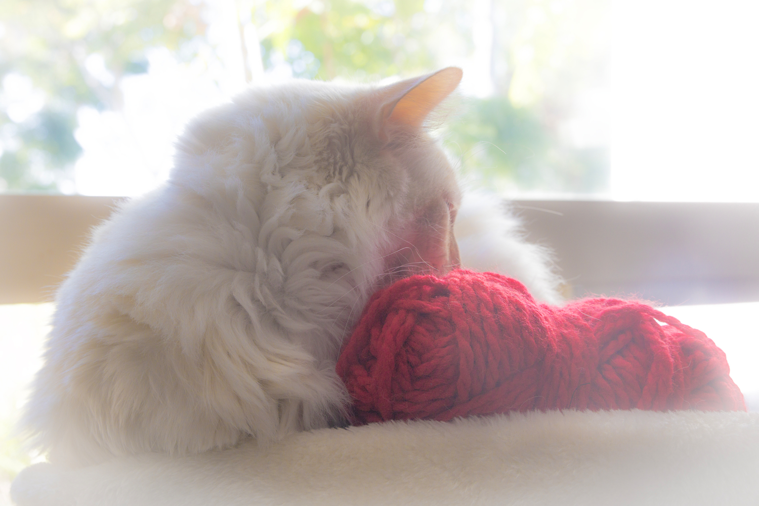 Белое и красное