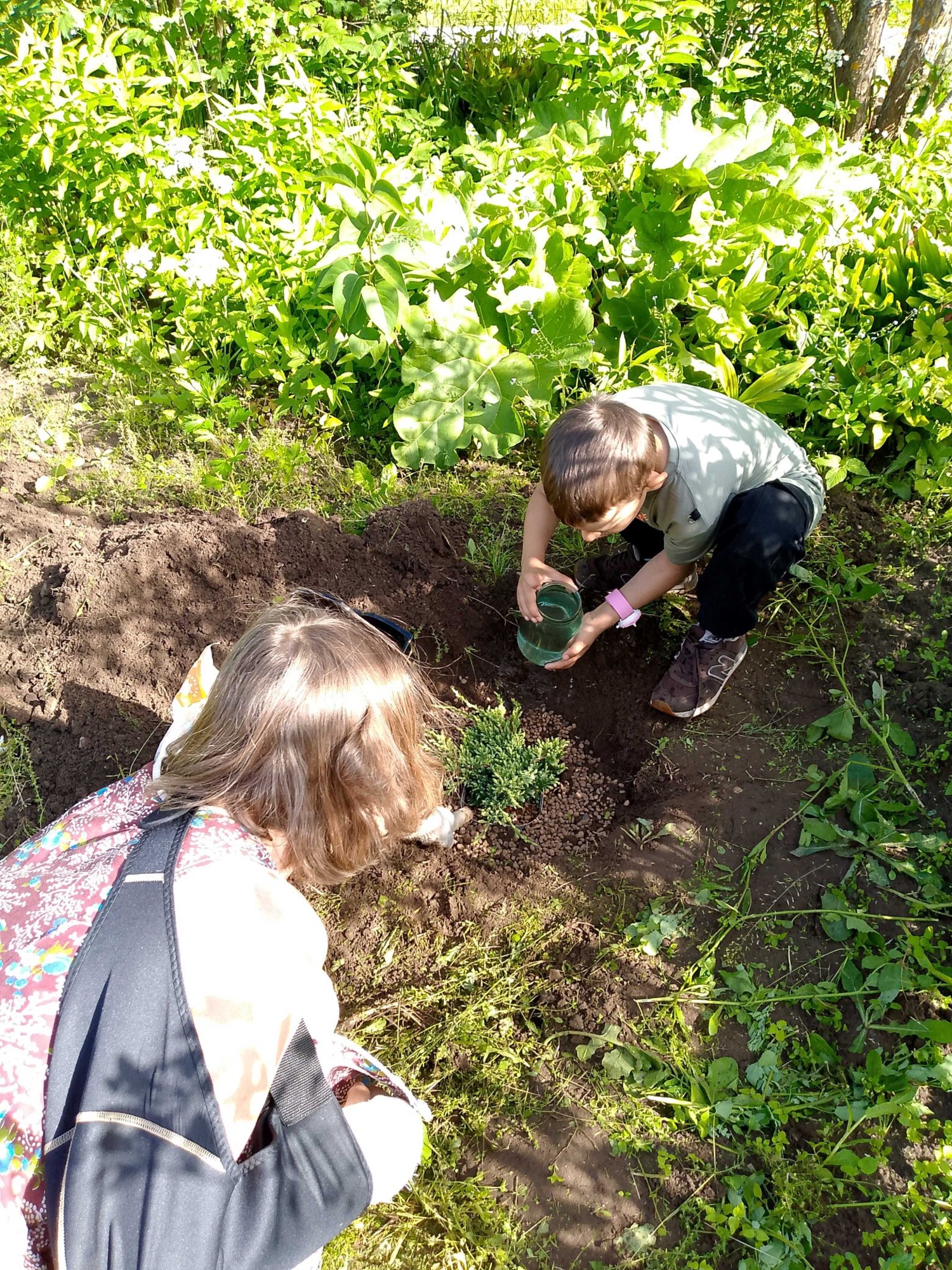 Любовь к природе