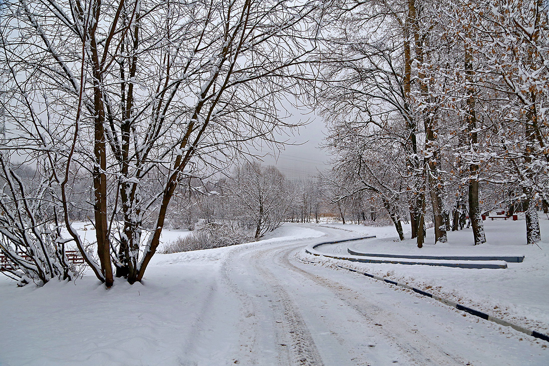 А дорога серою лентою вьется...
