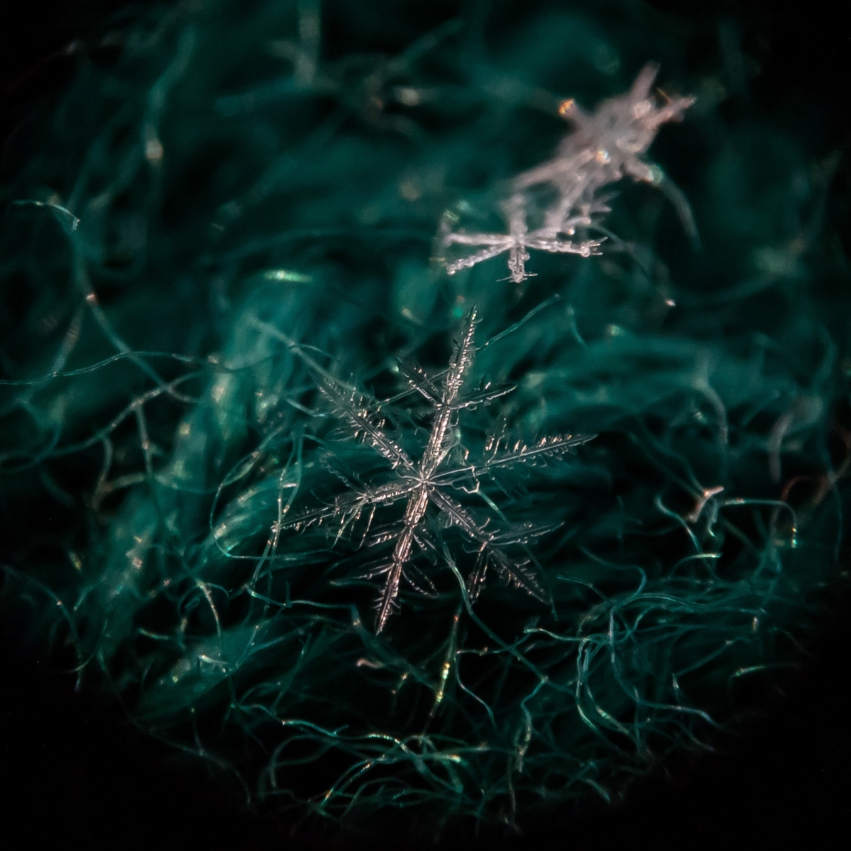 Если снежинка не растает...