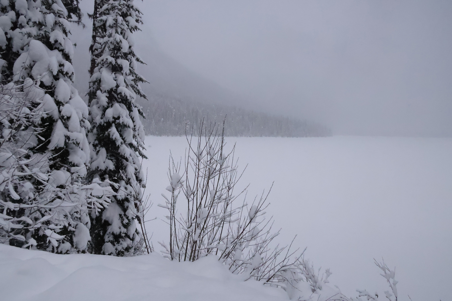 Звук Тишины