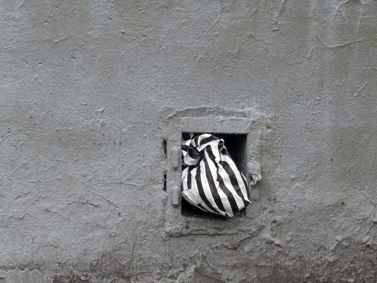 Черно-бело-полосатая серость