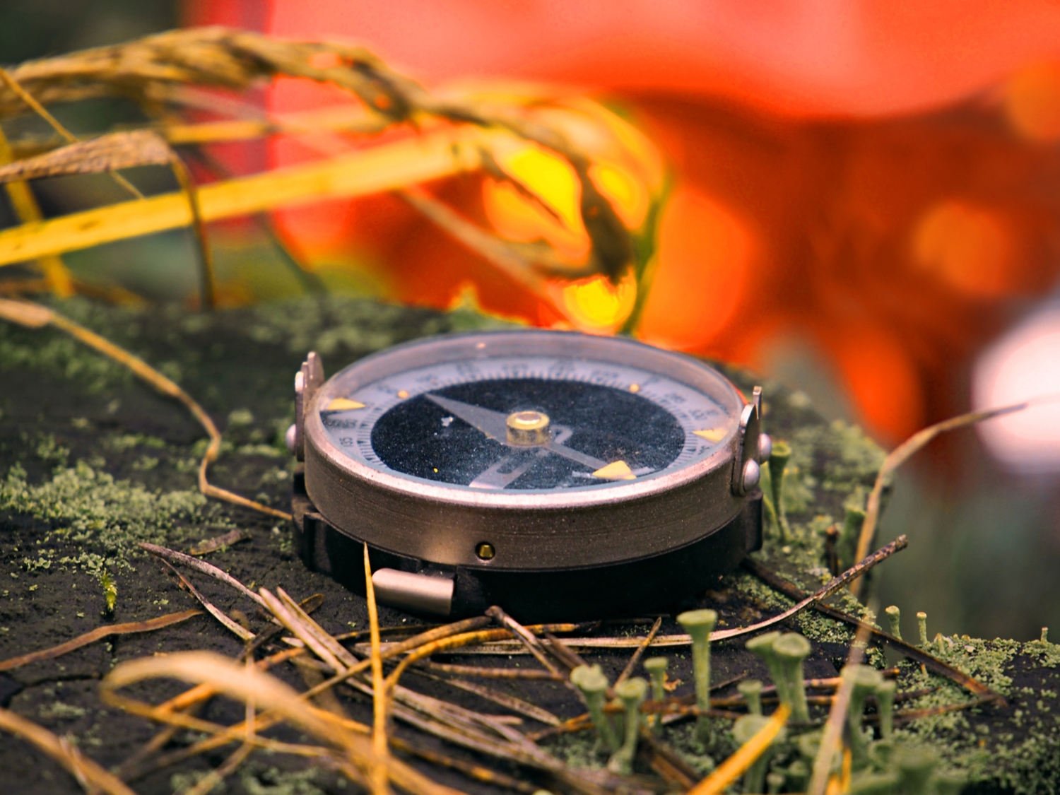 К светлому будущему...