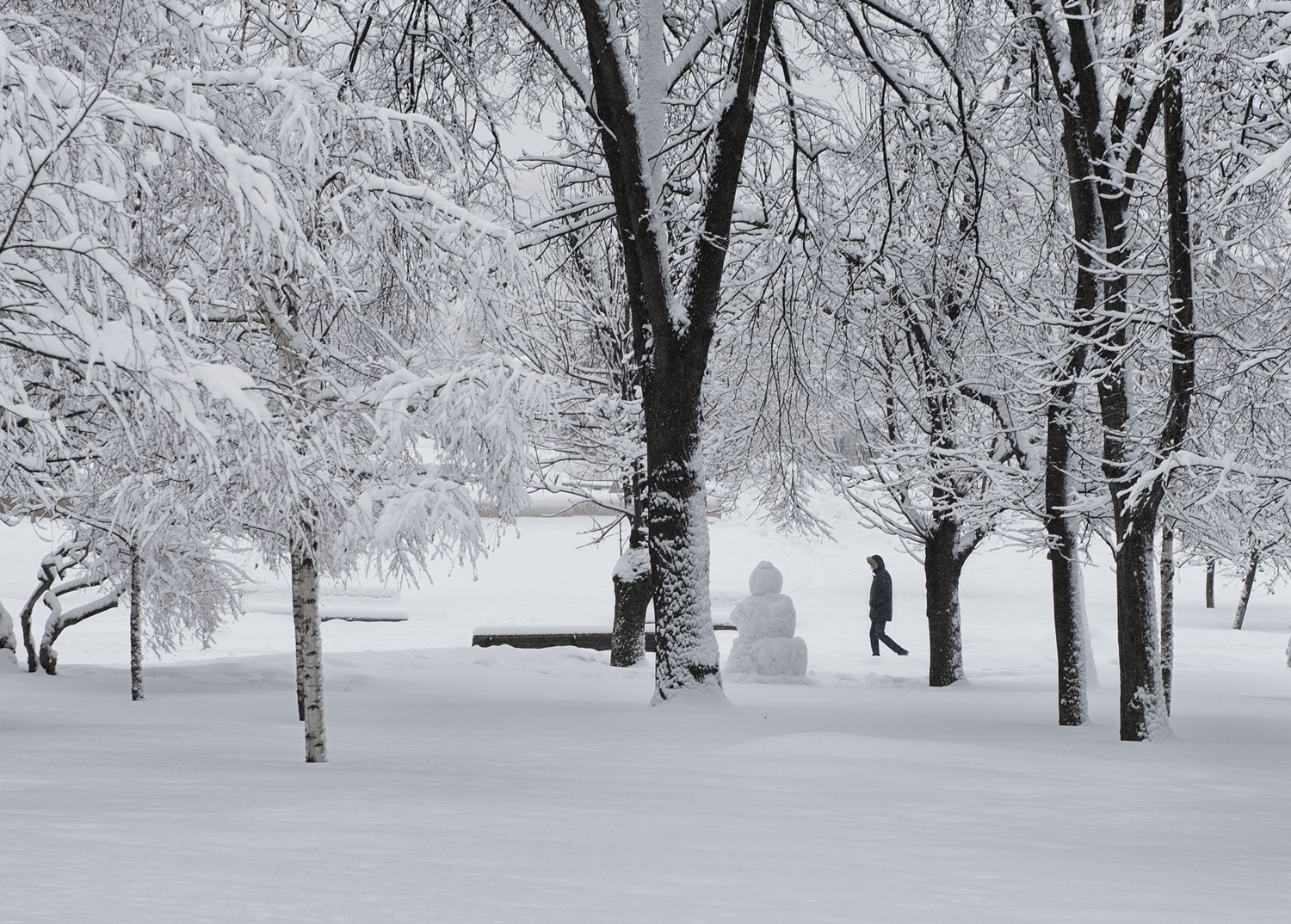 Снежная зима