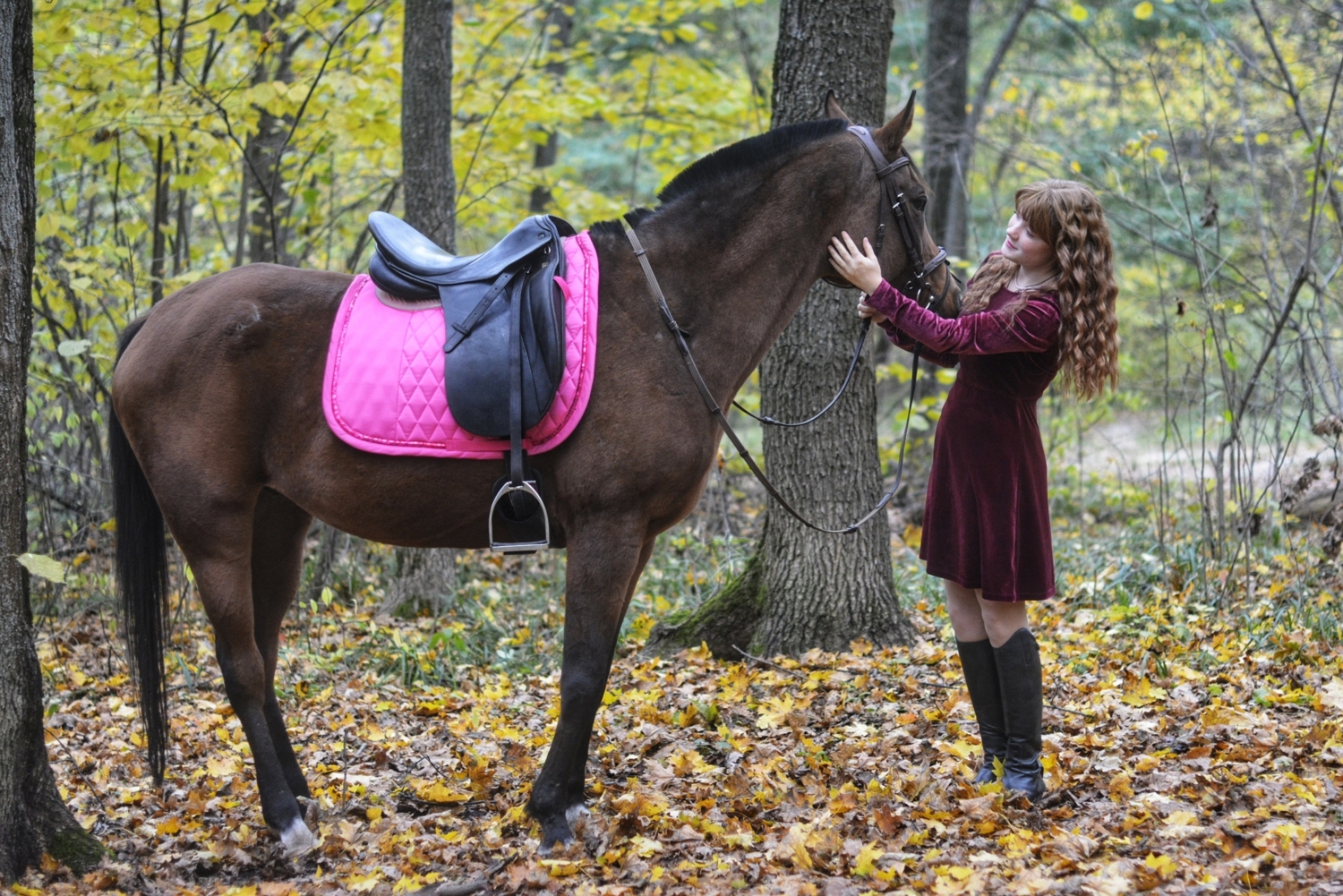 Я люблю свою лошадку