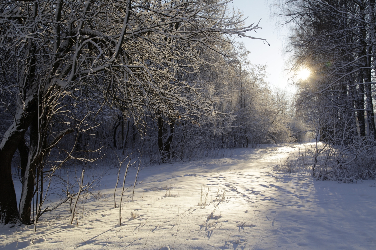 Мороз и солнце