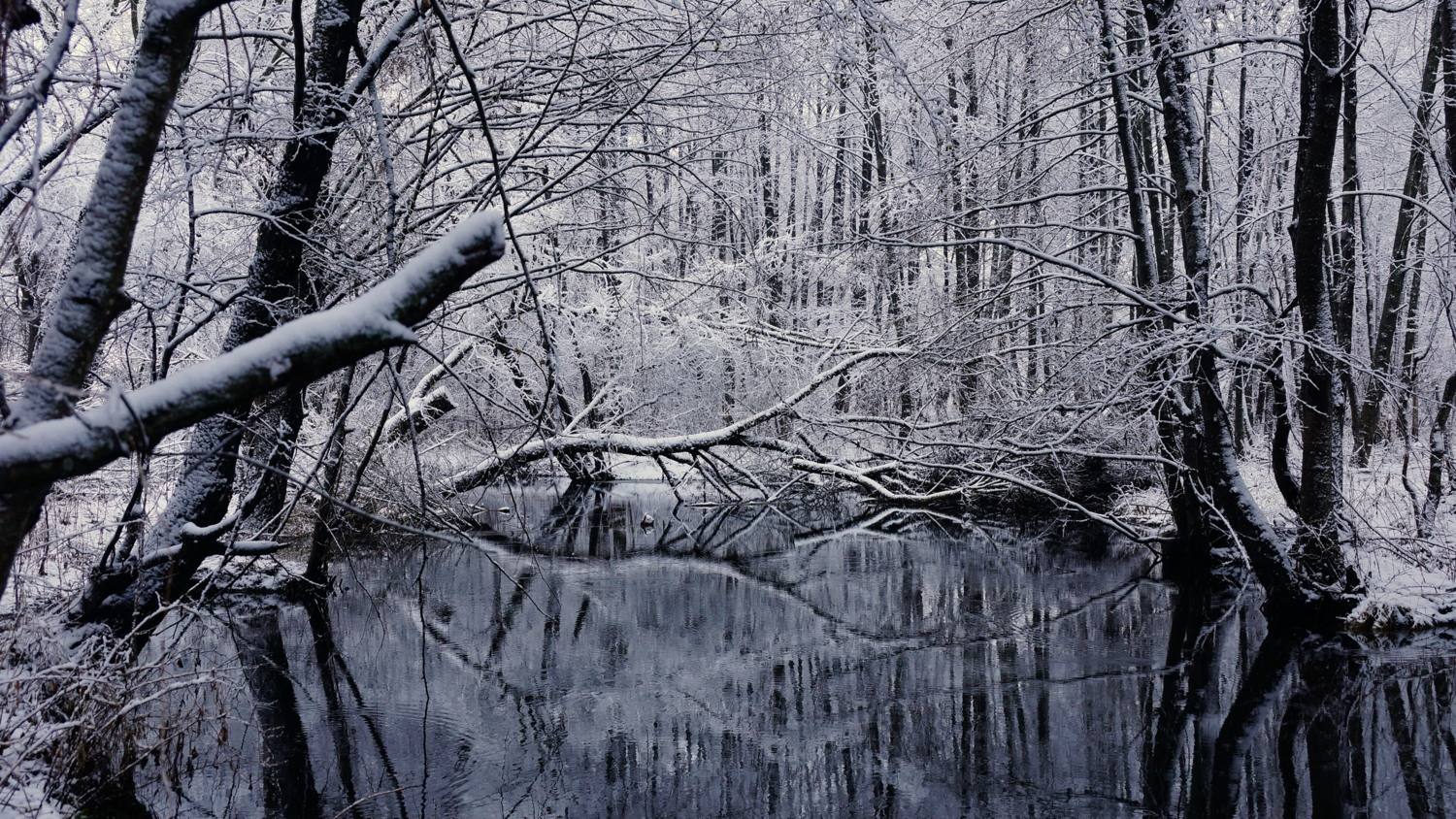 Первый снег.