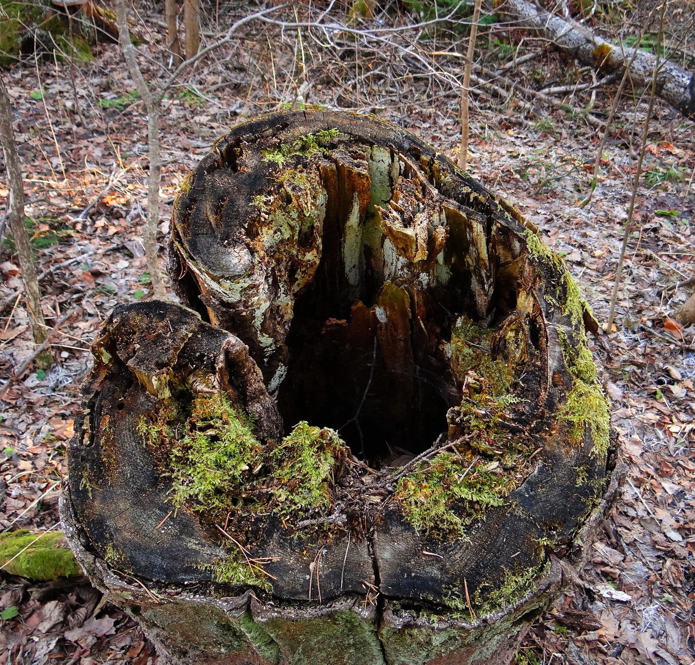 Вот он - портал!