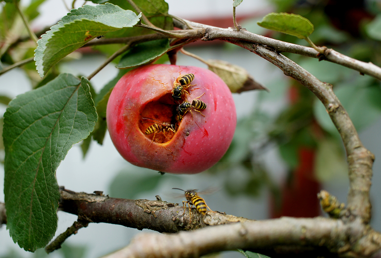 Любопытство не порок