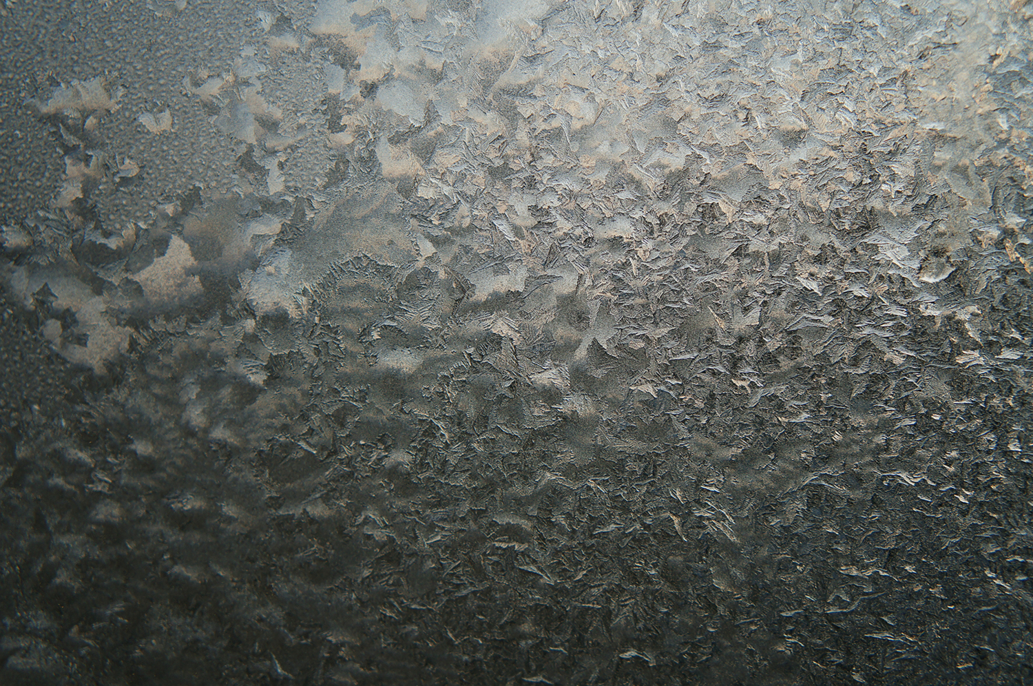 Ледяные фрески