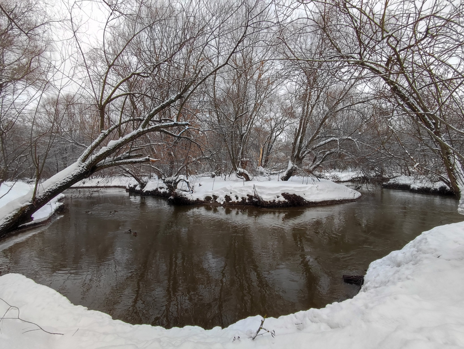 Зимний пейзаж с рекой