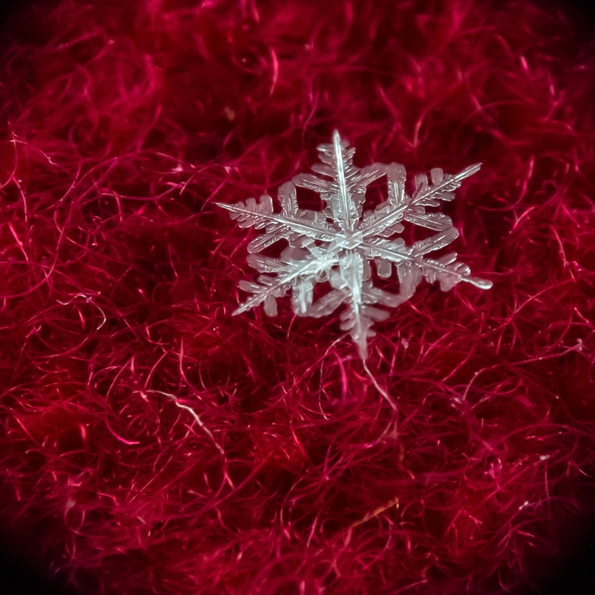 Мягкая посадка