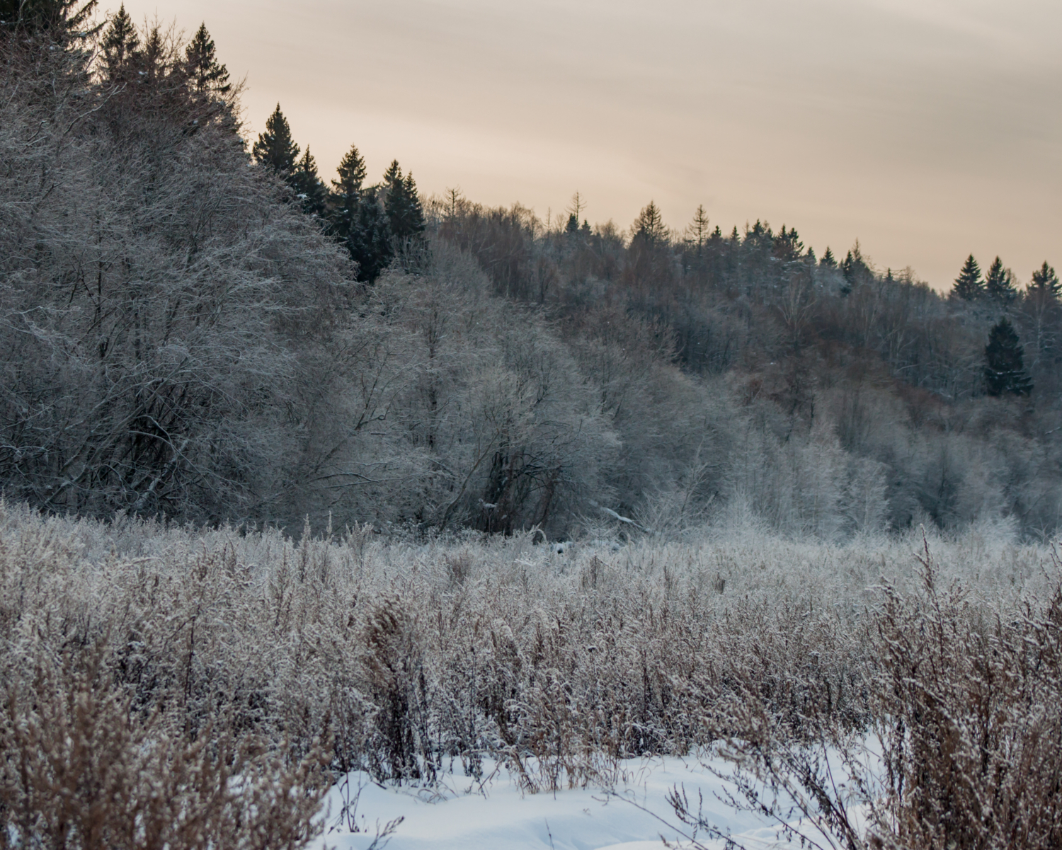 50 оттенков инея