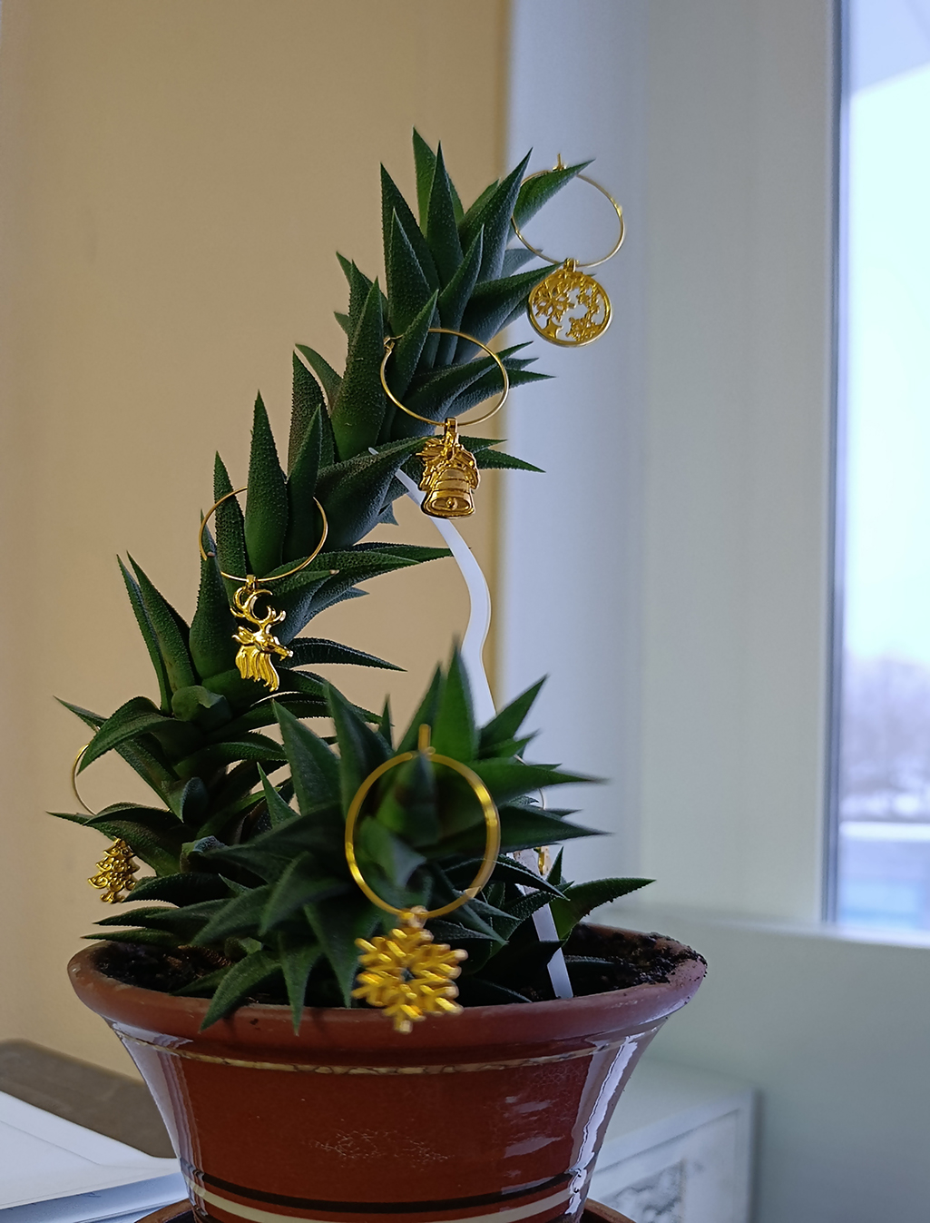 И даже кактус в ожидании