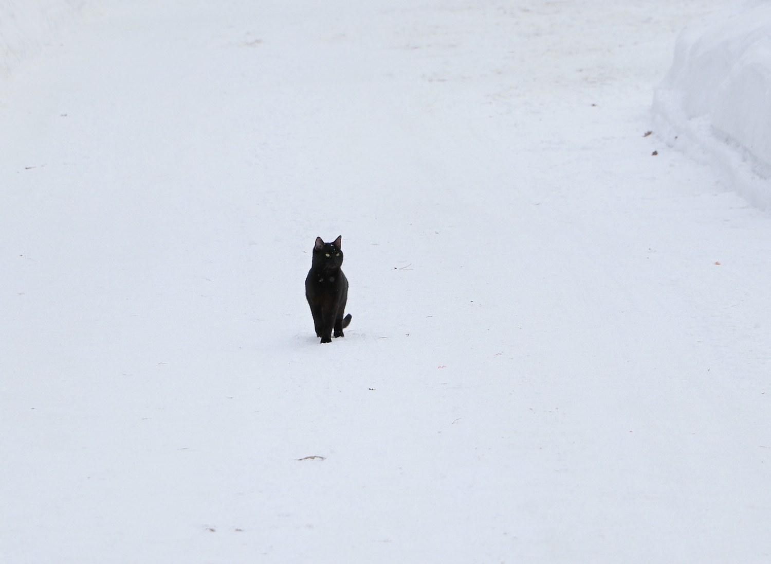 выхожу один я на дорогу...