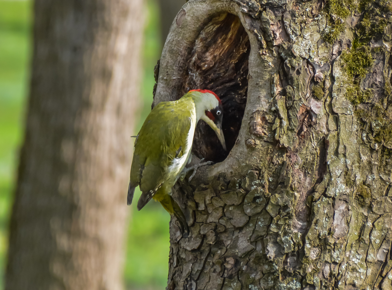 - Эй! Кто-нибудь дома?